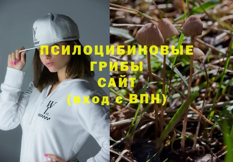 Галлюциногенные грибы Magic Shrooms  Краснотурьинск 